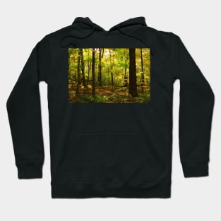 Maple Forest Hoodie